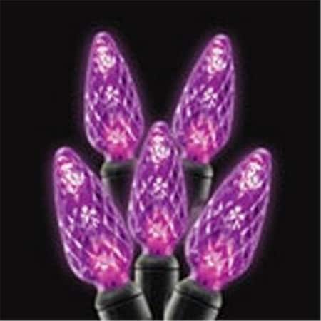 Reinders Reinders 20612R-B C6 LED Light Strands - Purple Full Wave 20612R-B